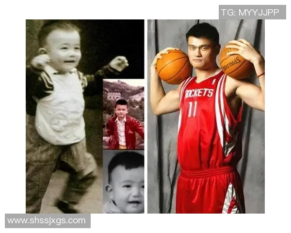 积木姚明游戏带你体验篮球的乐趣与创意，开启无限可能的拼搭之旅