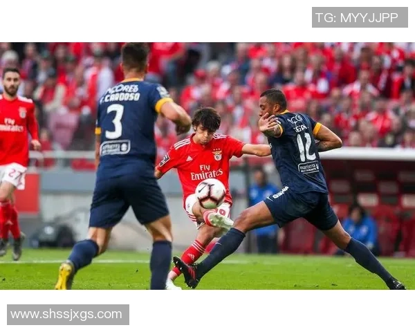 中超赛场惊现本菲卡大胜多特蒙德红牌事件引发全场热议