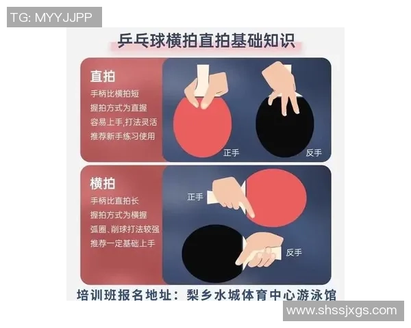 陈敏独家分享乒乓球技巧与心得助你提升球技的秘密宝典