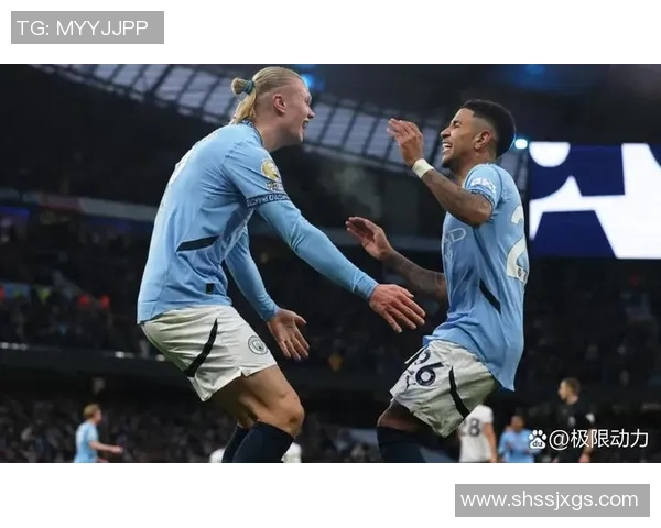 德甲精彩对决切尔西大胜里昂帽子戏法点燃全场激情